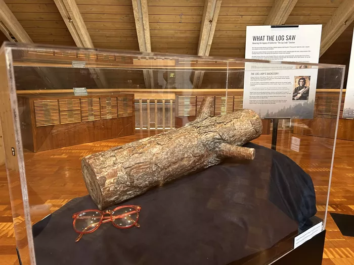 Log Recognize Log: World Forestry Center Celebrates an Iconic Twin Peaks Character